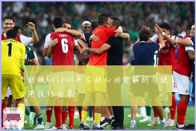 新版Kaiyun平台核心功能解析与使用技巧分享